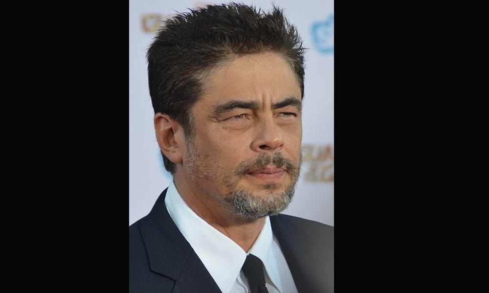 Biografía de Benicio del Toro