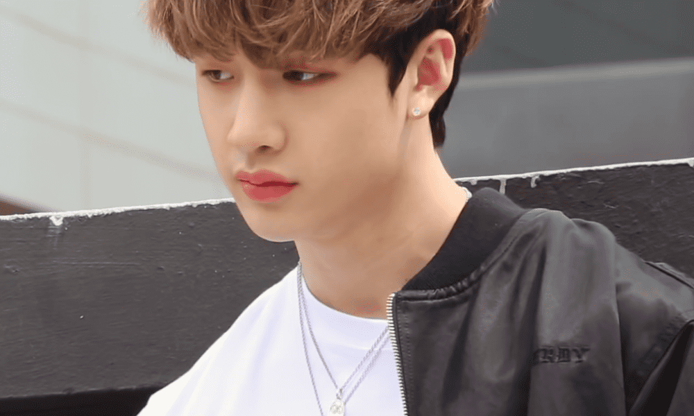 Biografía de Chan (Stray Kids)