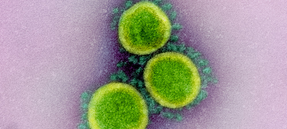 Historia del Coronavirus