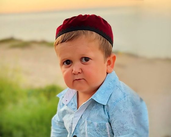 Biografía de Hasbulla Magomedov